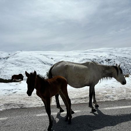 그라나다 Biznaga Nevada 아파트 외부 사진