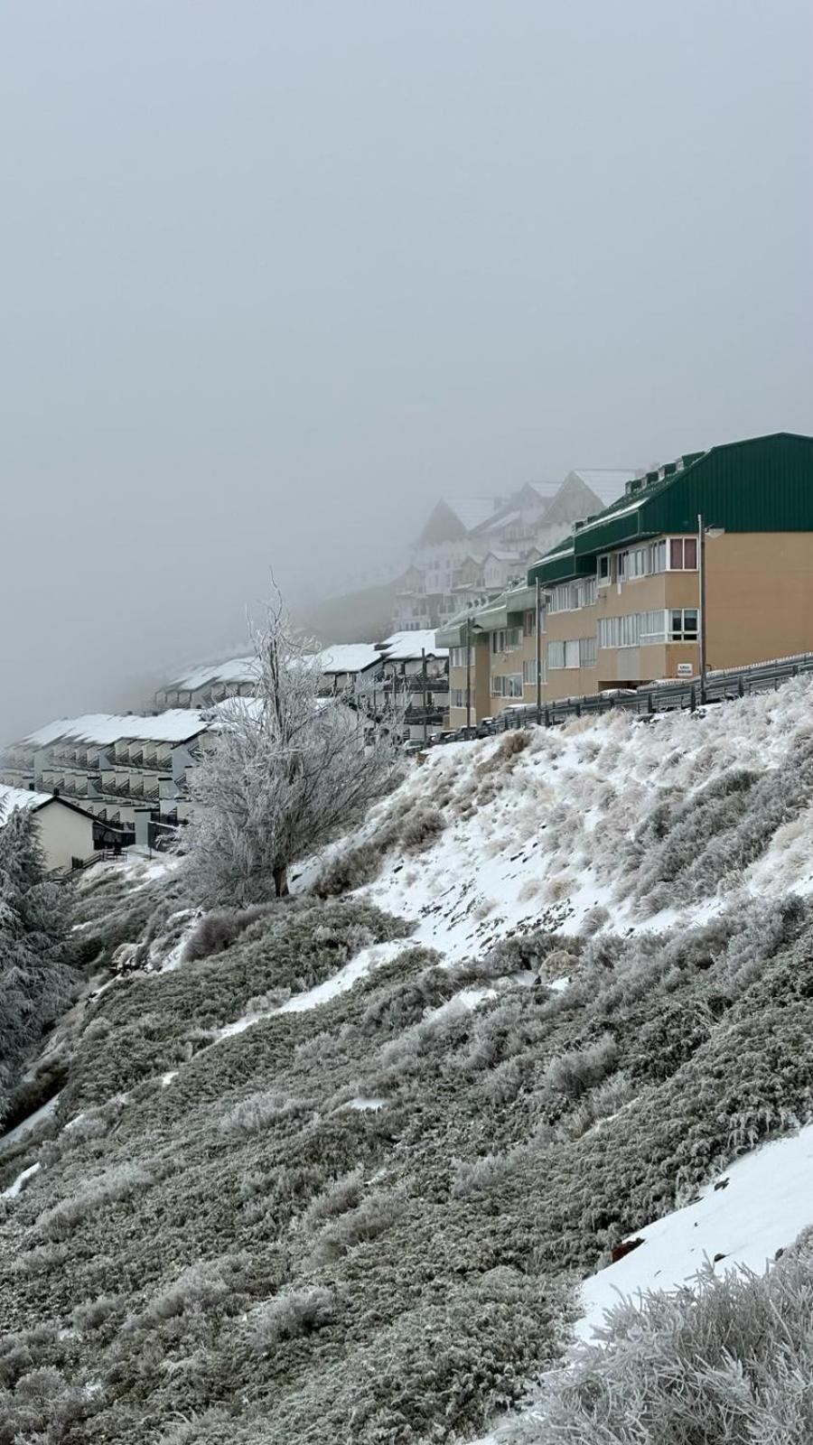 그라나다 Biznaga Nevada 아파트 외부 사진