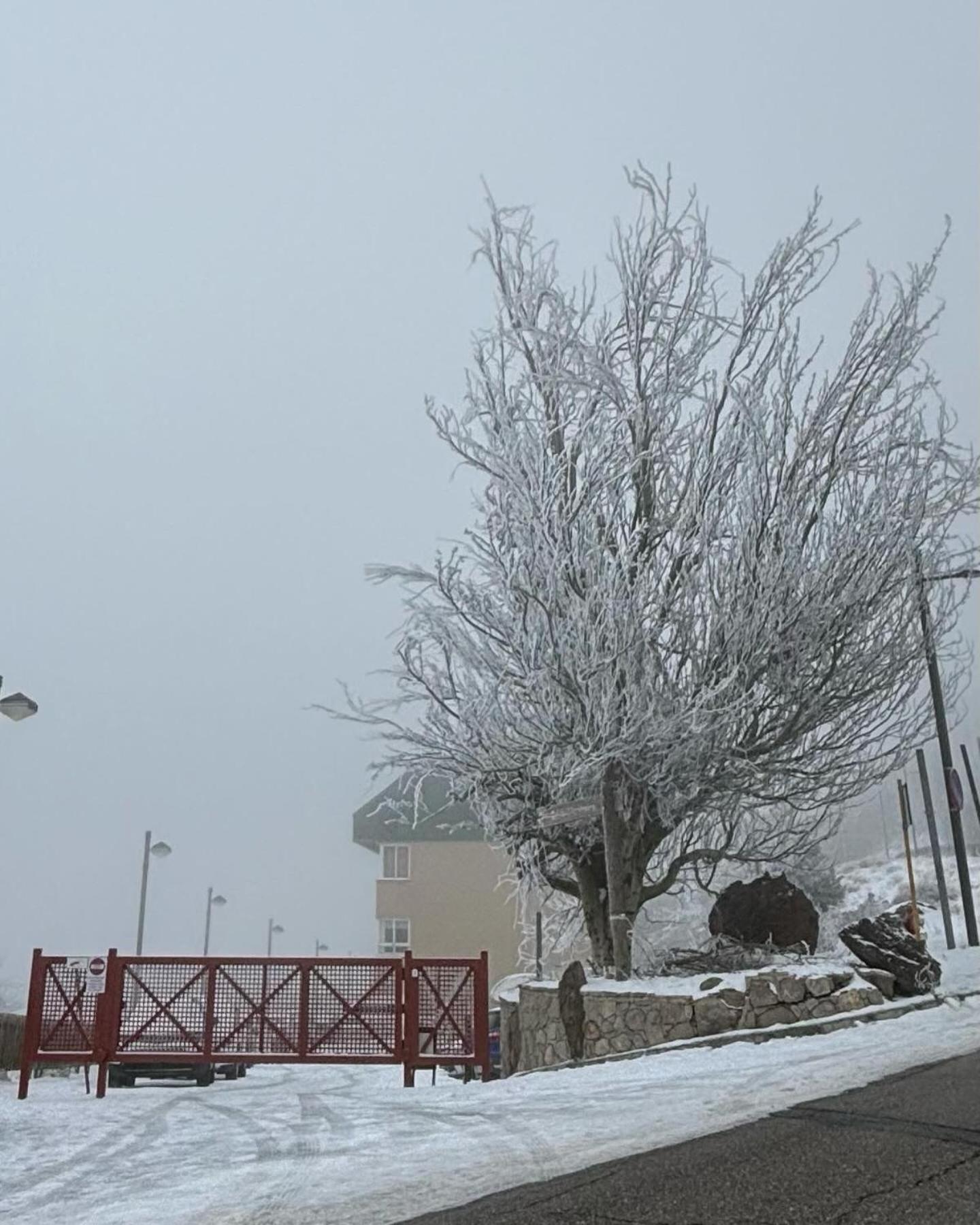그라나다 Biznaga Nevada 아파트 외부 사진