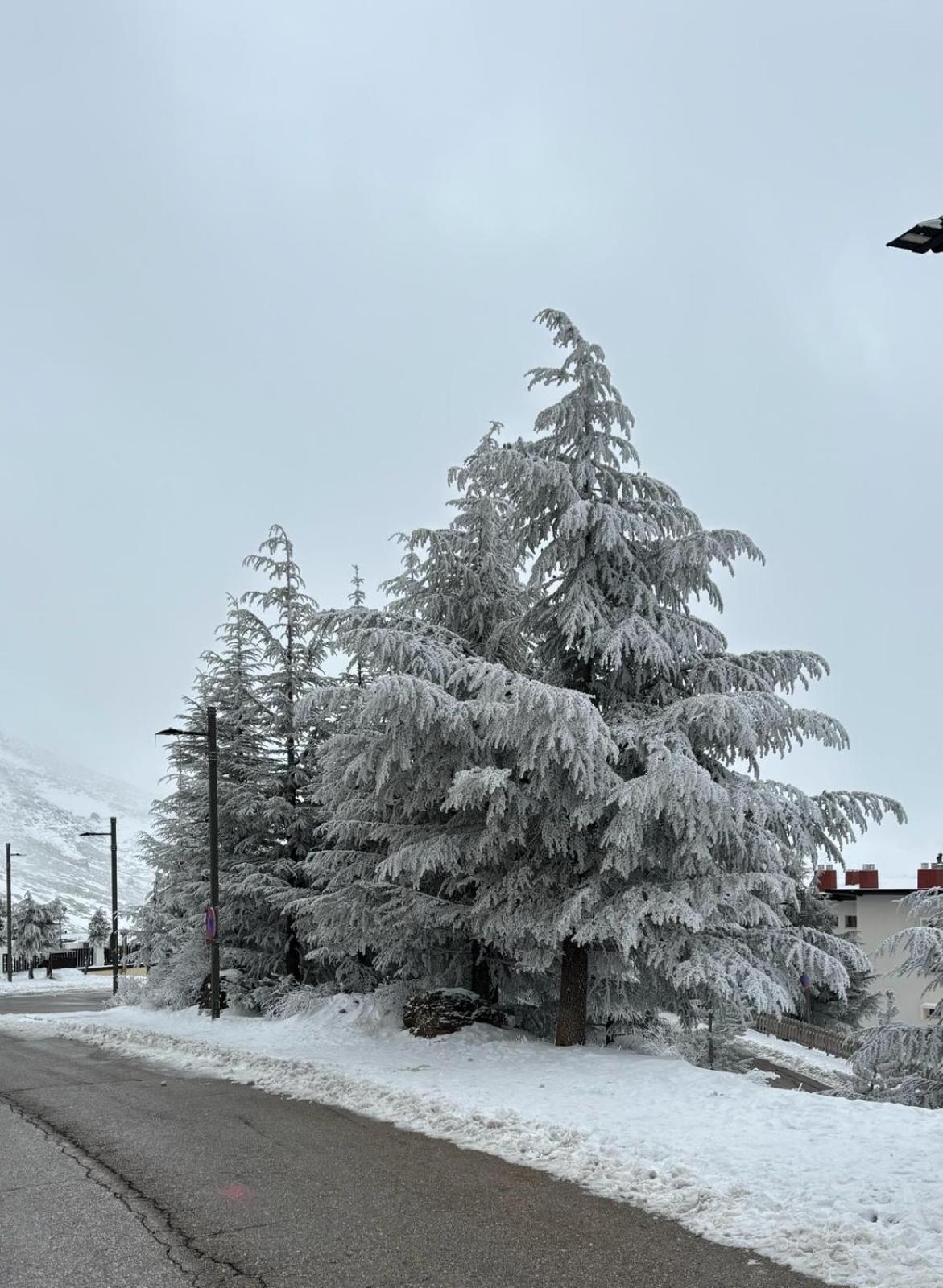 그라나다 Biznaga Nevada 아파트 외부 사진