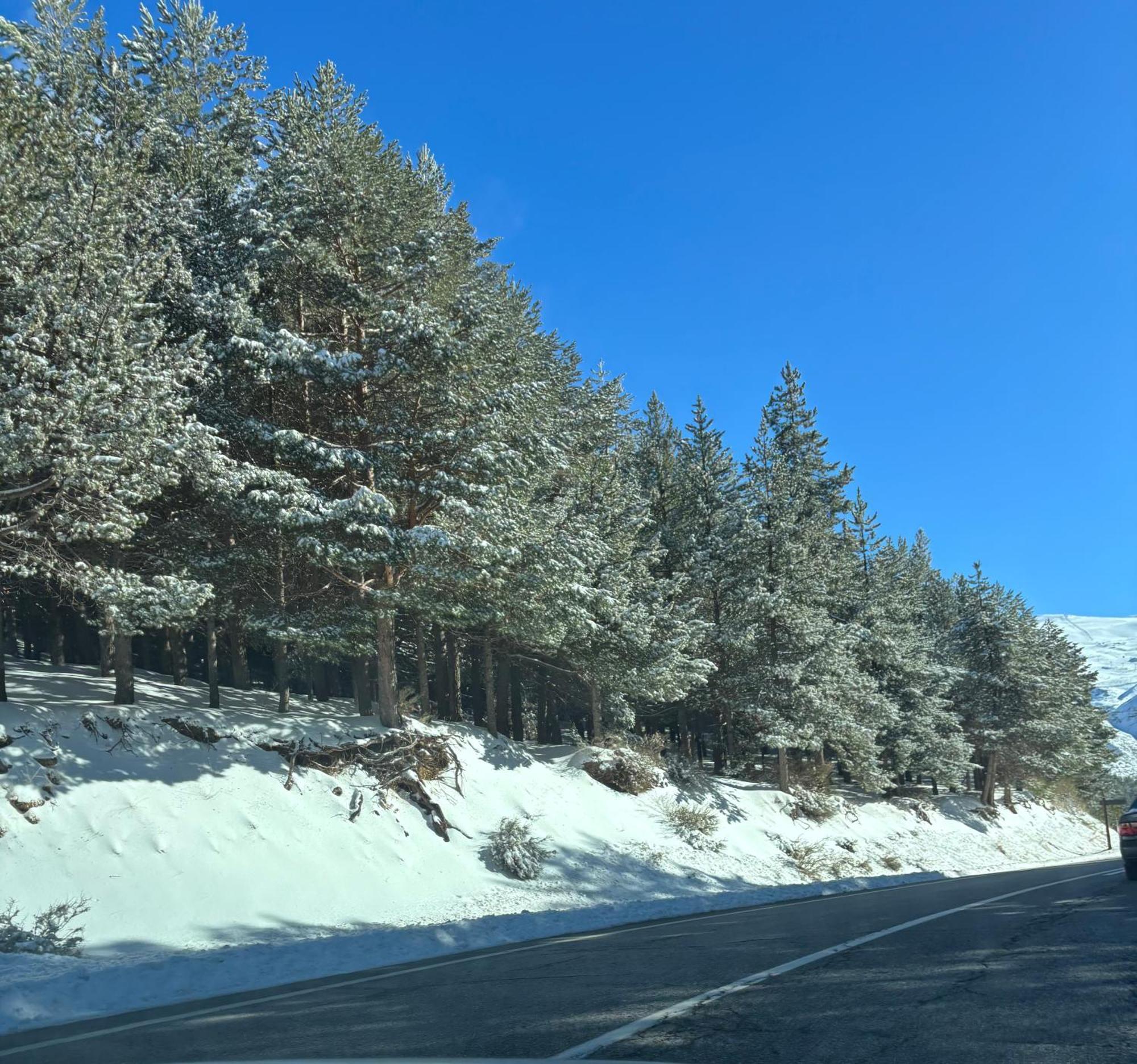 그라나다 Biznaga Nevada 아파트 외부 사진